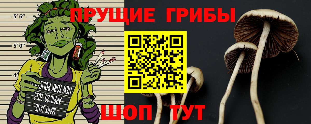 Лабытнанги  Псилоцибиновые грибы прущие грибы  Вход с VPN 